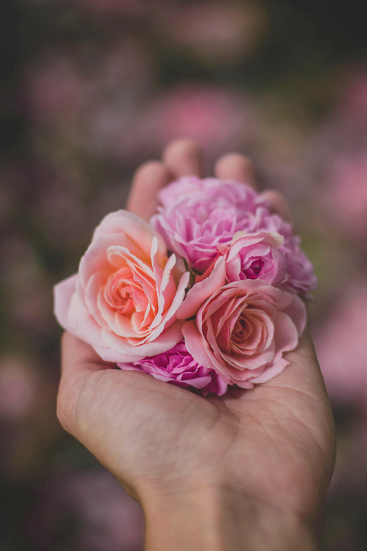 web_pexels-valeriya-617965